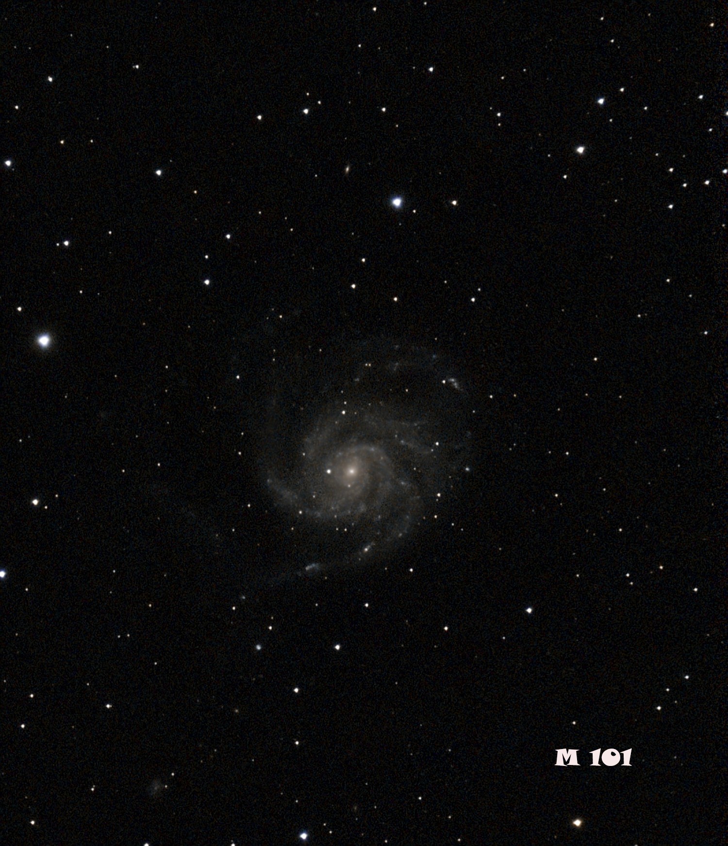 M 101 