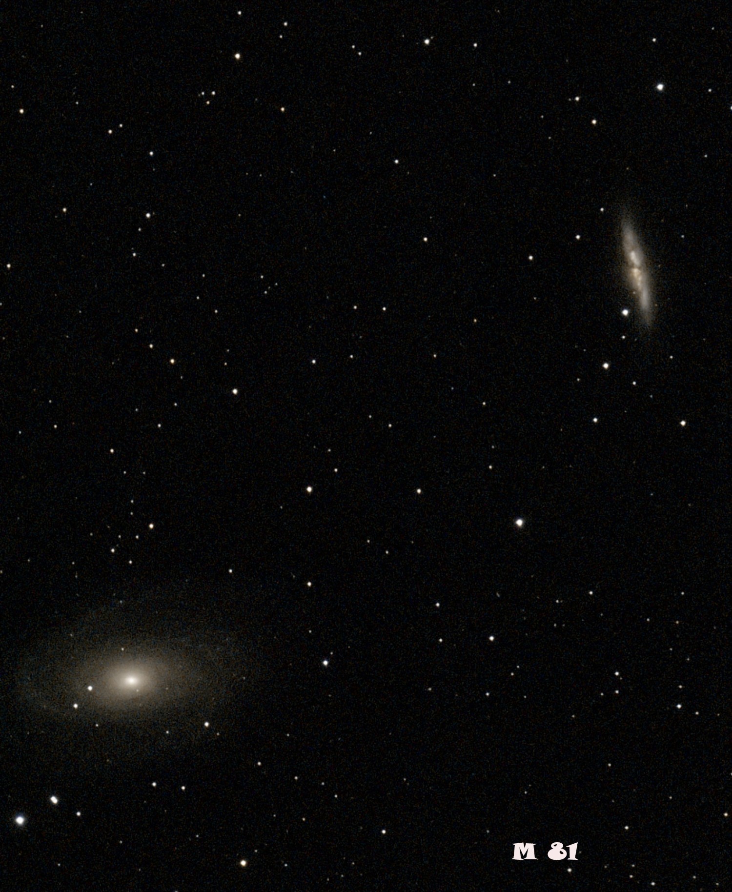 M 81 