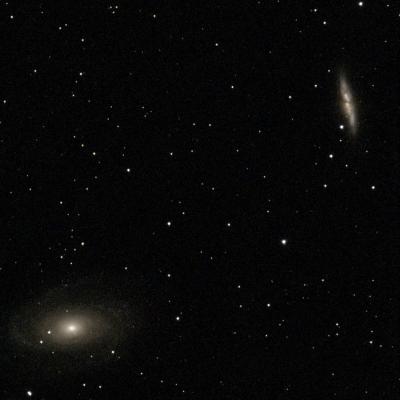 M 81 