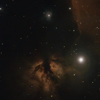 Ngc 2024