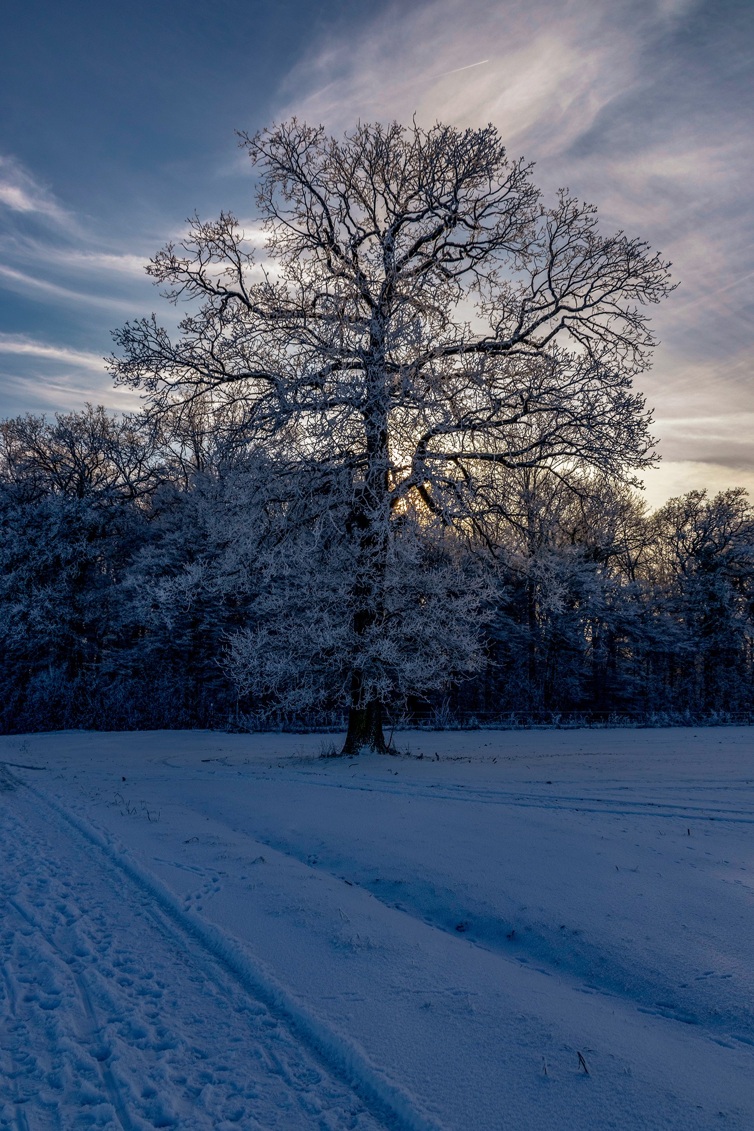 Sanemjanvier2024neige0810020124 1