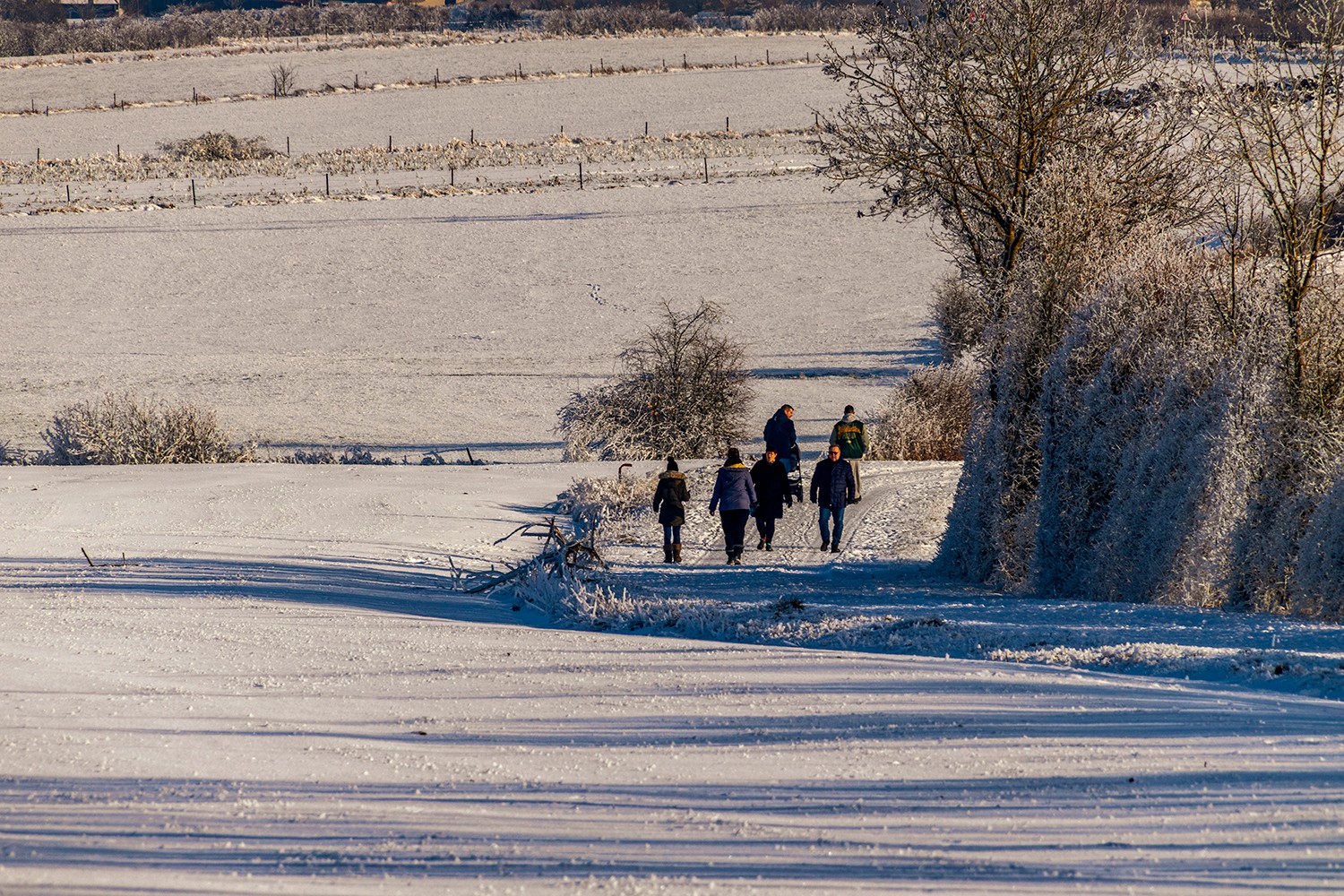 Sanemjanvier2024neige0811020124