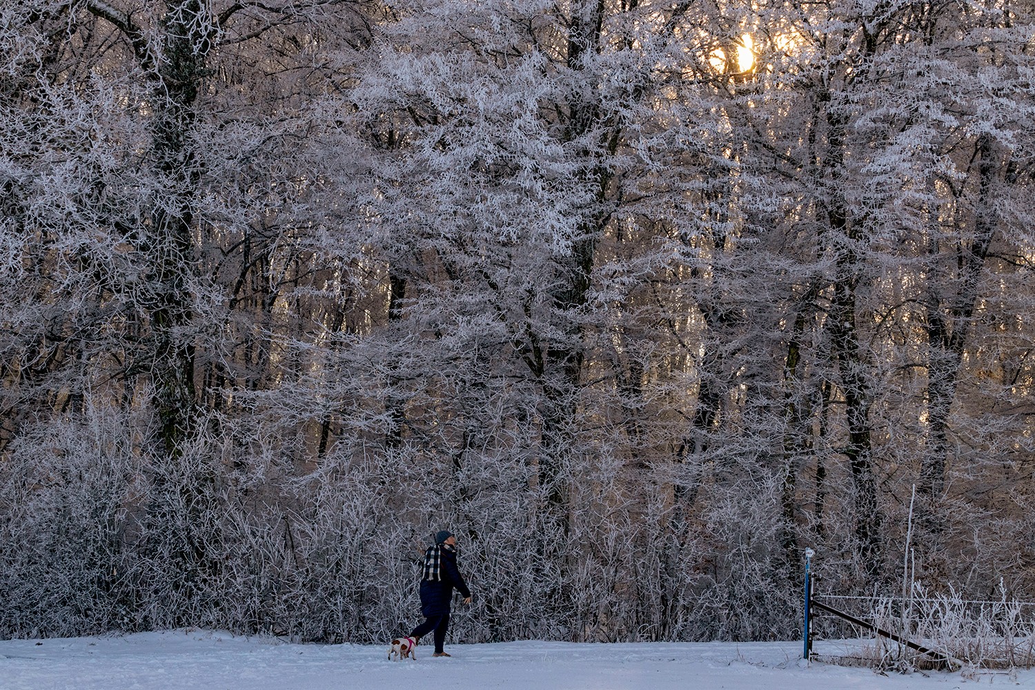 Sanemjanvier2024neige0812020124