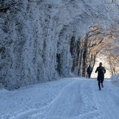 Sannemneigejanvier0751012024