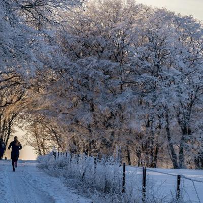 Sannemneigejanvier0752012024