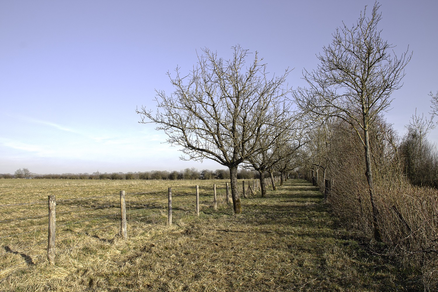 Sans titre hdr2